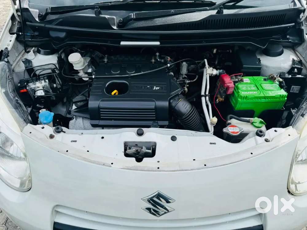 Full Pepper Good Cuondision