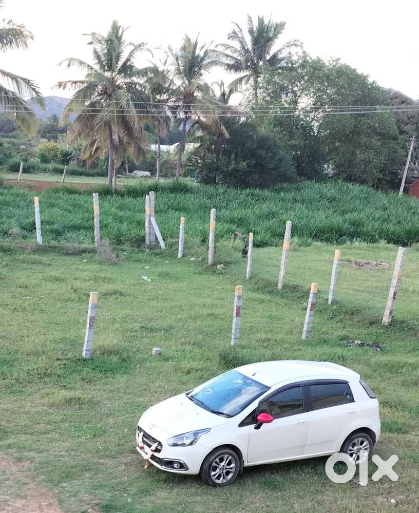Fiat Punto Evo 2015 Diesel Well Maintained