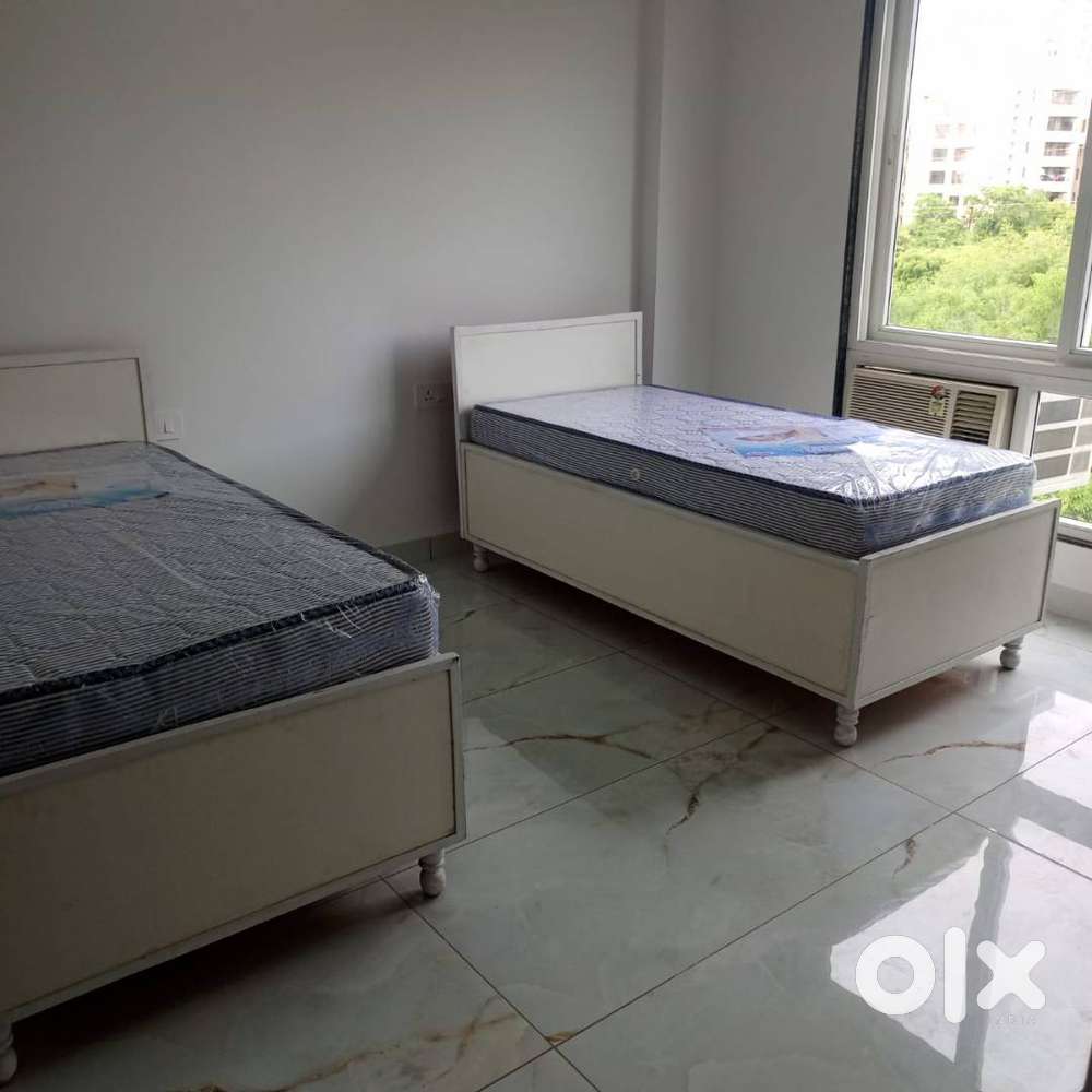 No Brokerage Coliving PG Noida Sector 135 Cripa dot in