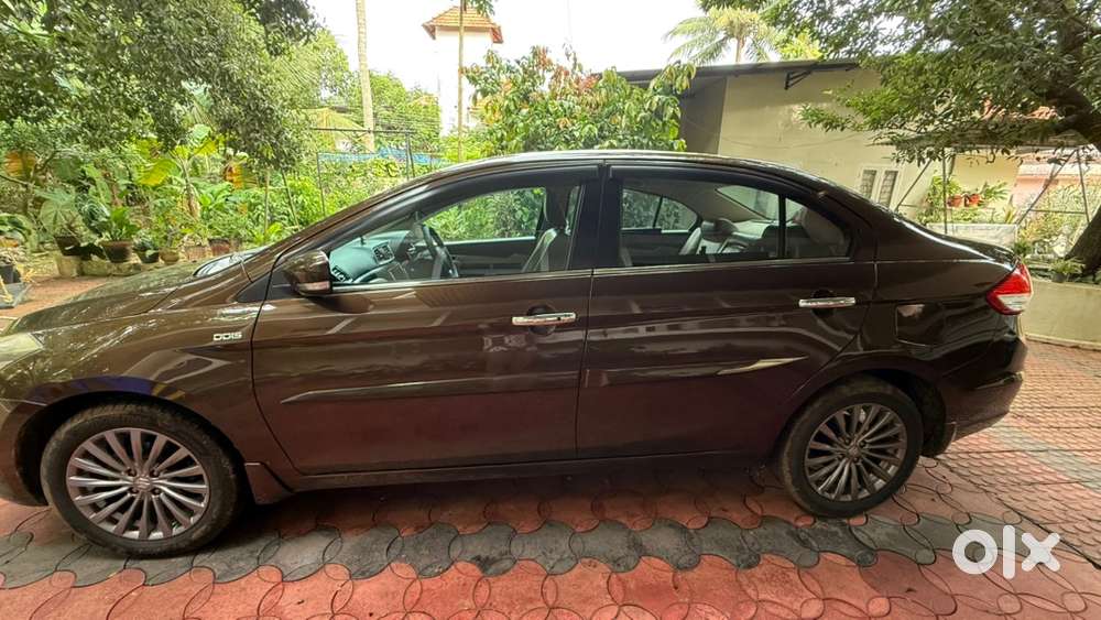 Ciaz Diesel Maruti 2017