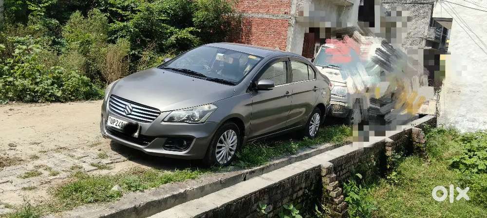 Maruti Ciaz 2016 Diesel