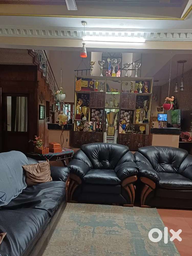 Indroyal sofa set