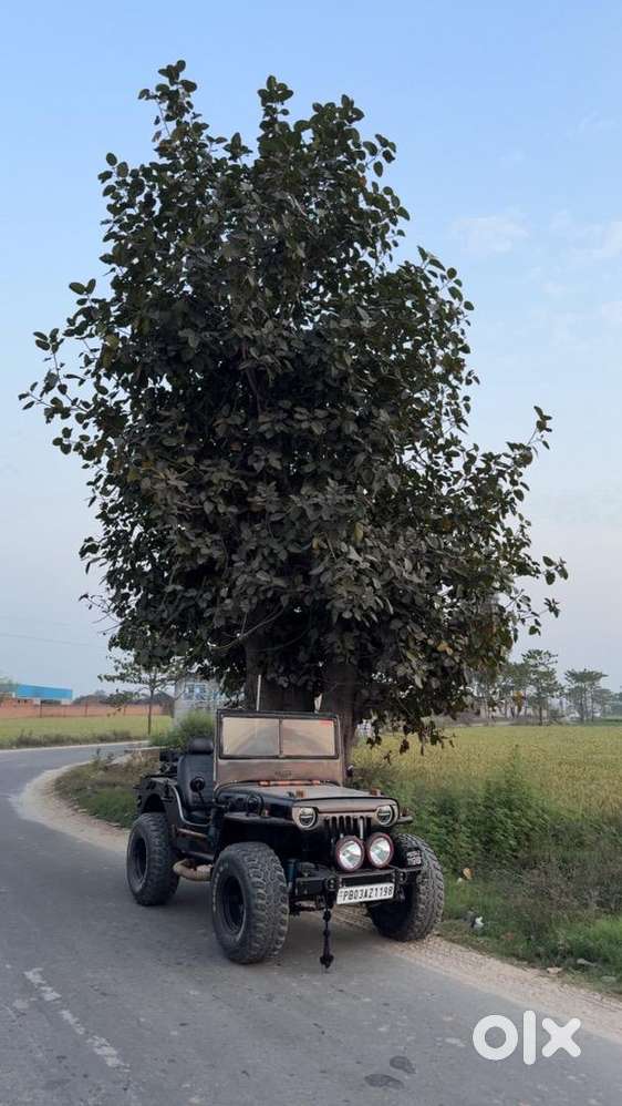 Mahindra Jeep 2025 Diesel Good Condition