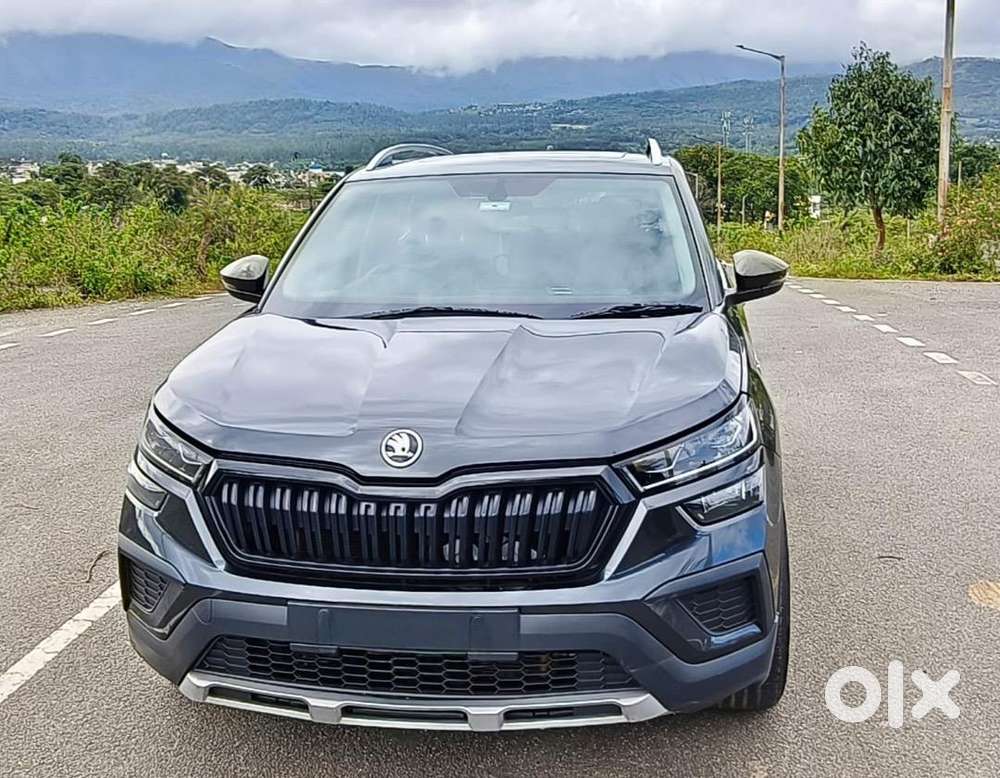 Skoda Kushaq 2022 Petrol Well Maintained