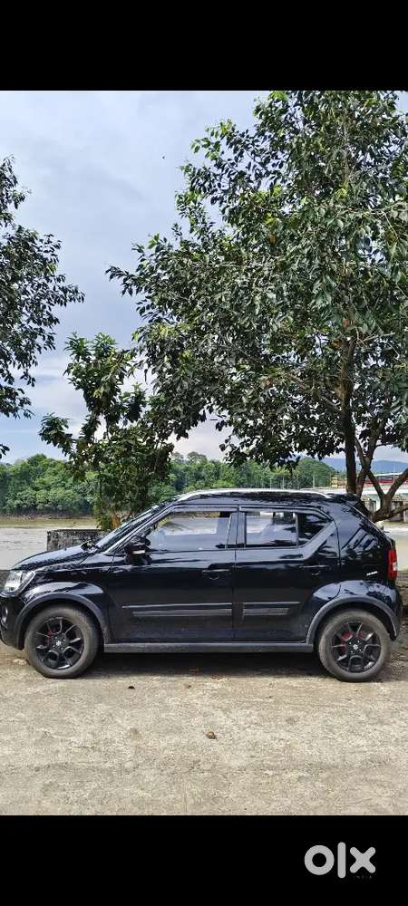 Maruti Suzuki Ignis 2024