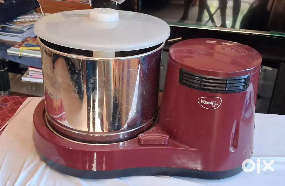 Pigeon Grinder 1 year old with box