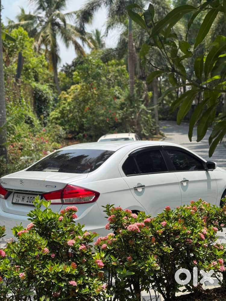Maruti Ciaz 2019 Top Model  Excellent Condition  Single Owner