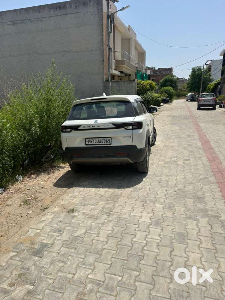 Maruti Suzuki Car 2023