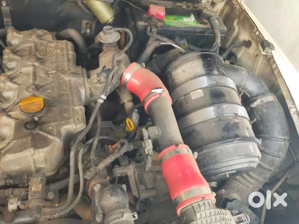 Sumo Gold Good Condition