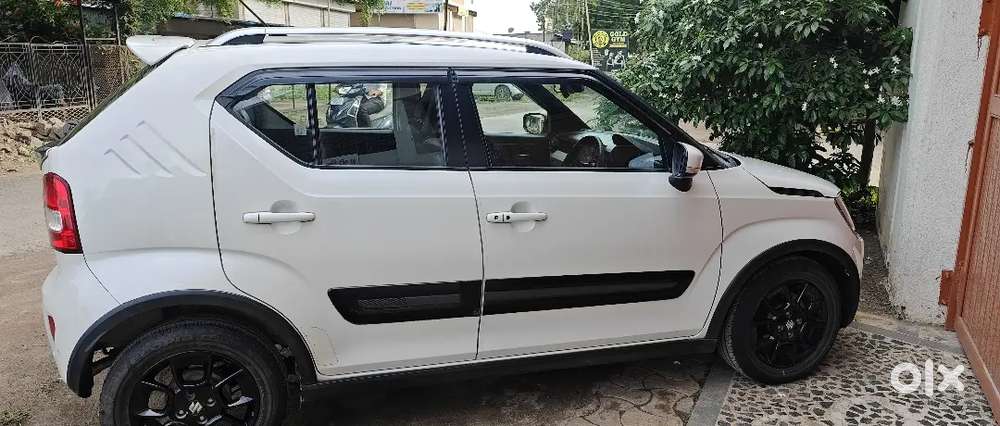 2023 Maruti Suzuki Ignis