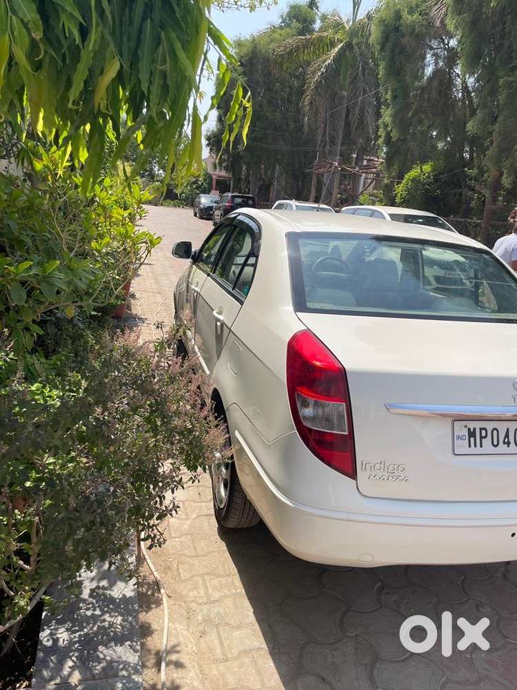 Tata Petrol Car 2010