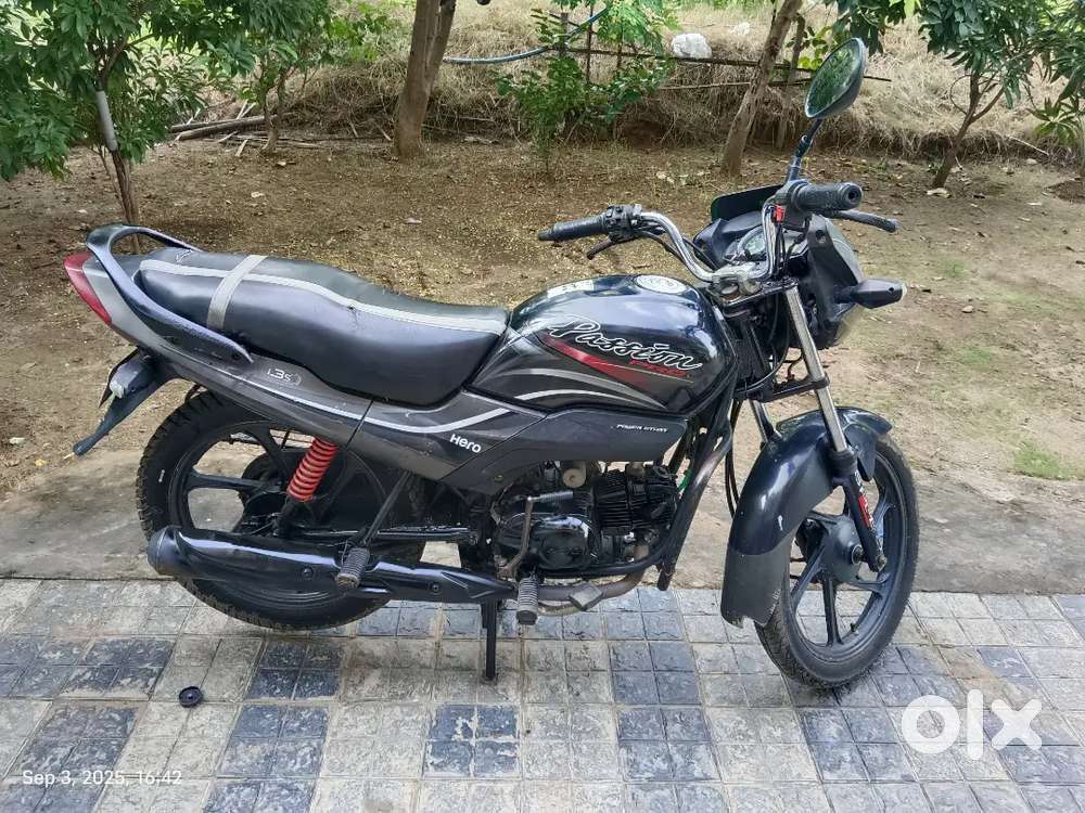 Honda Pp 2017