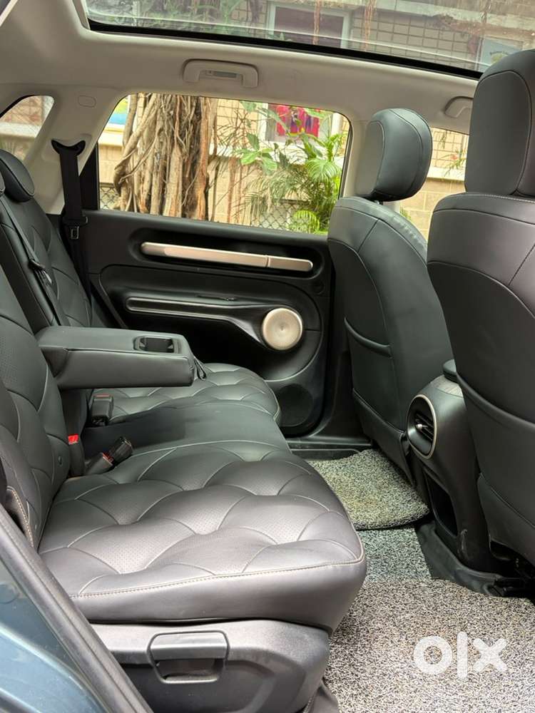 Mg Windsor Ev 2025 Electric 30000 Km Driven