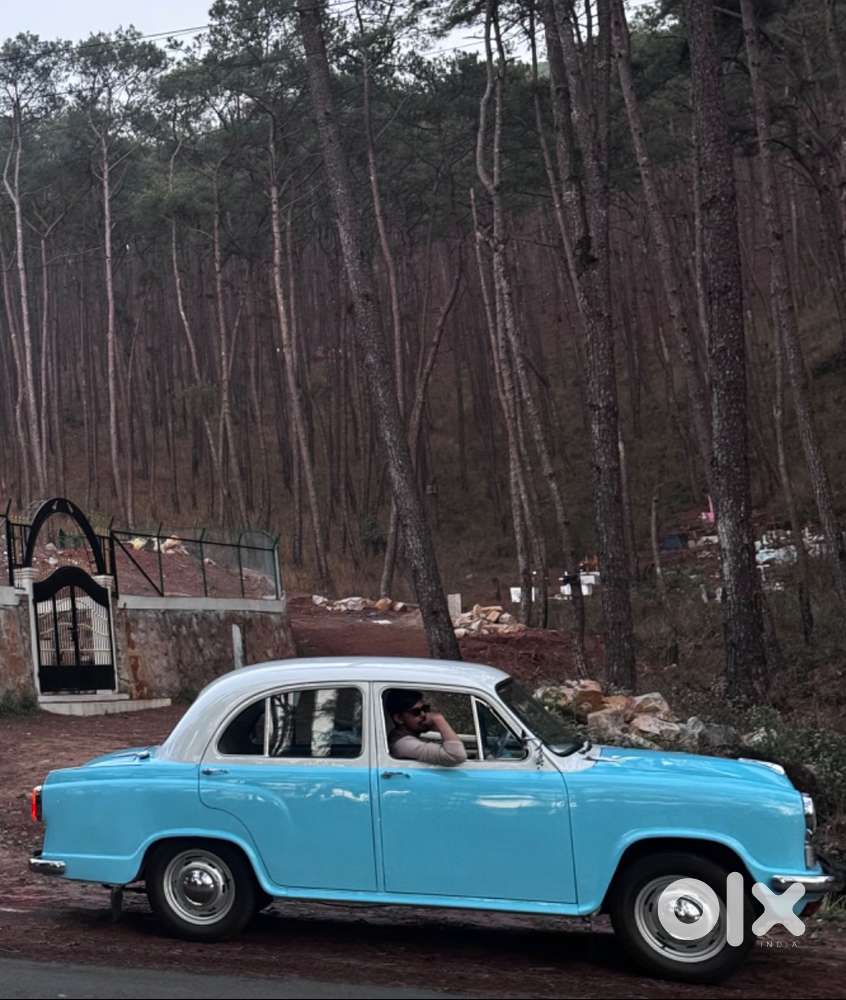 Ambassador Ambassador