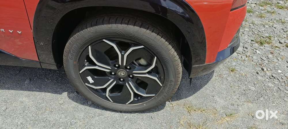 Tata Curvv Creative S 1.5 Kryojet Diesel 6mt, 2024, Diesel