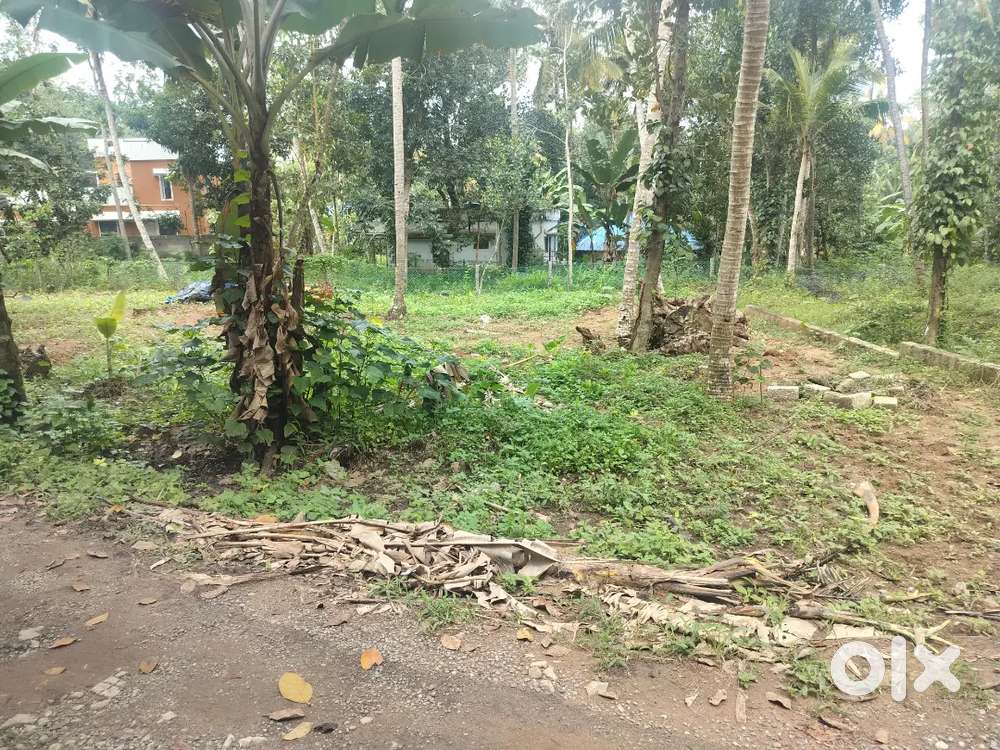 9.25 CENTS SQUARE PLOT IN KAILATHUKONAM