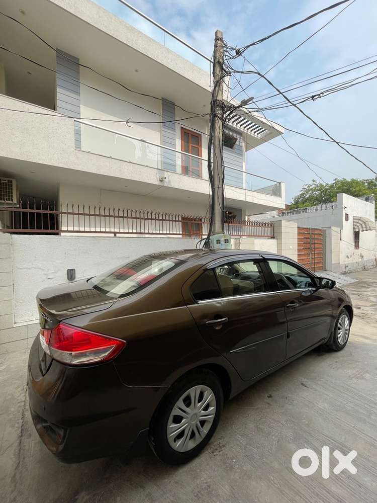 Maruti Suzuki Ciaz 2015 Cng & Hybrids Well Maintained