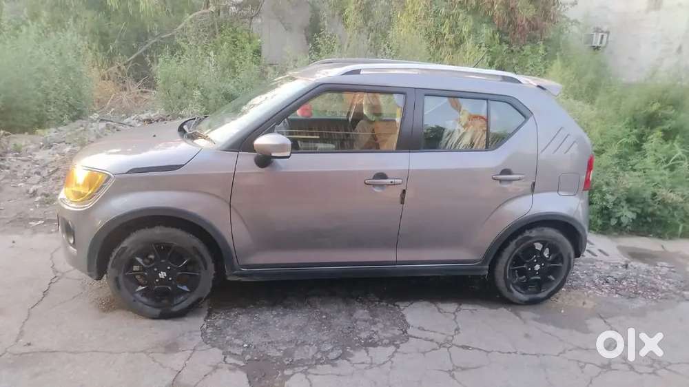 Maruti Suzuki Ignis 2023 Petrol Well Maintained . 550000 Rupees