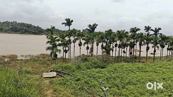 River attached agricultural land. 22 lakhs per acre  total 10 acres