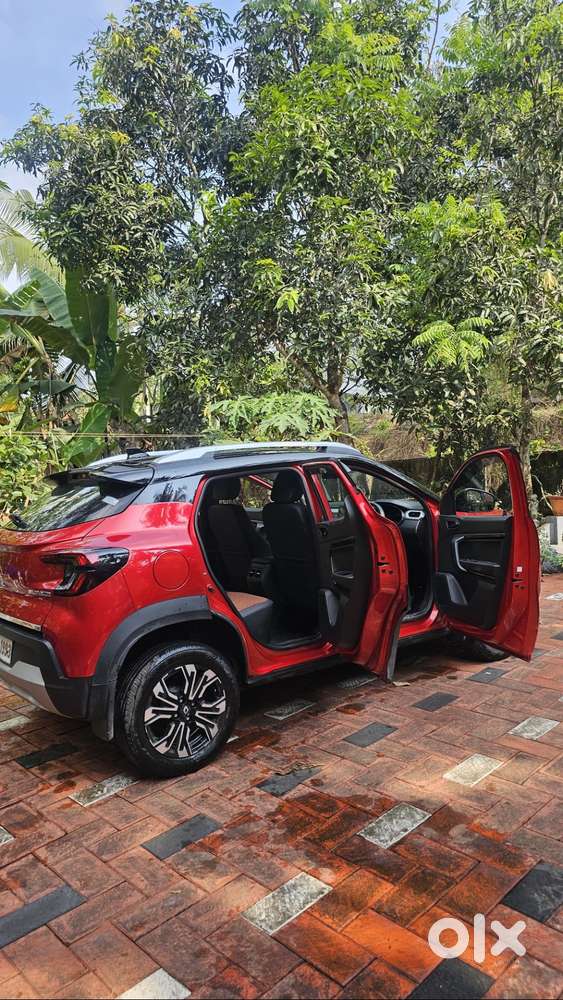 One Year Old Kiger For Sale