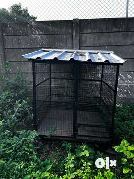 Dog cage clearance online olx