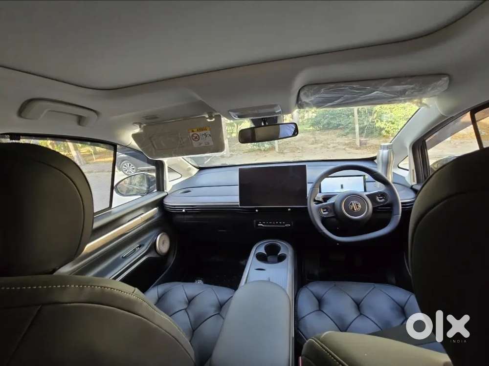 Mg Windsor Ev 2025 Car