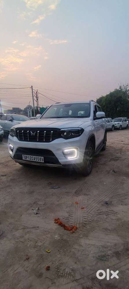 Mahindra Scorpio N Z8 Petrol At 7 Str, 2025, Cng & Hybrids