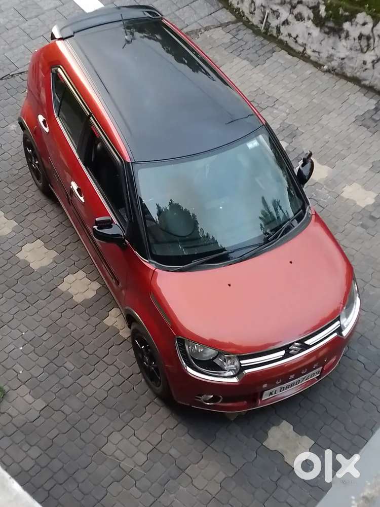 Show Room Condition