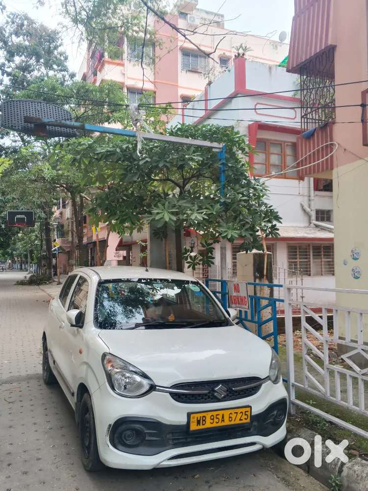 Maruti Suzuki Celerio 2023 Petrol Well Maintained