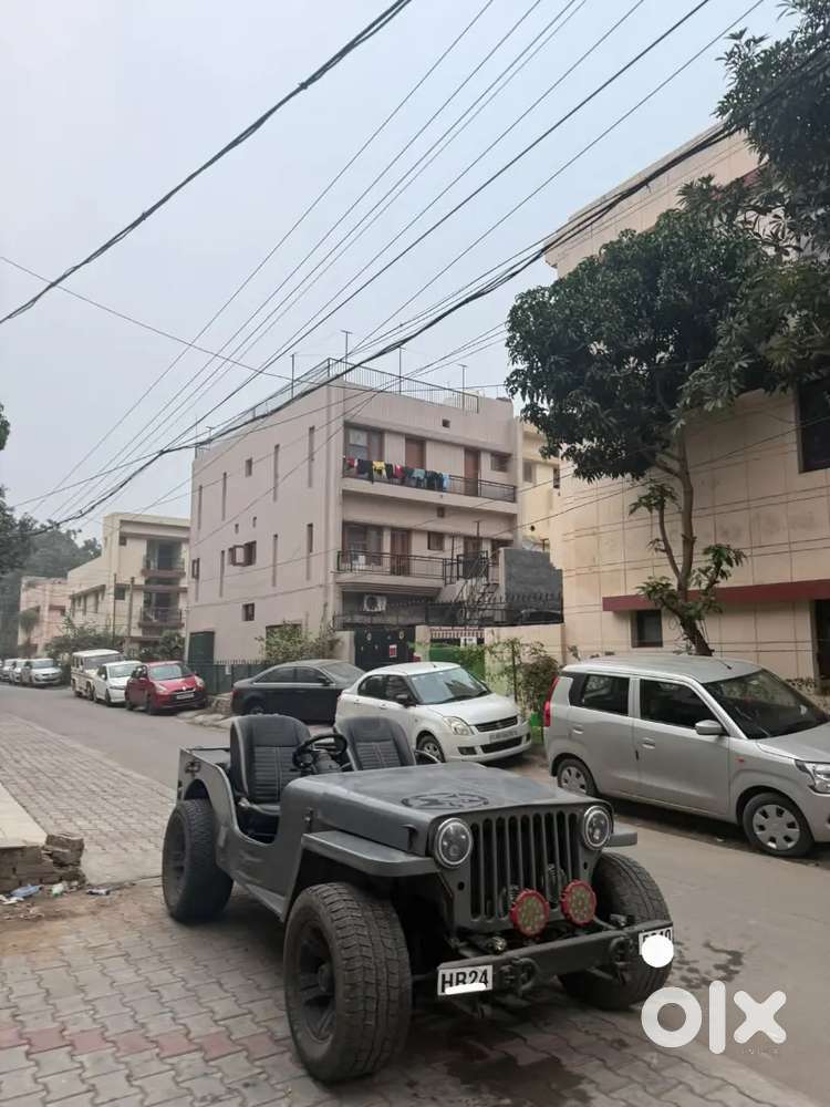 Willy Jeep For Sale