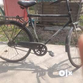 Olx cycle 1000 sale