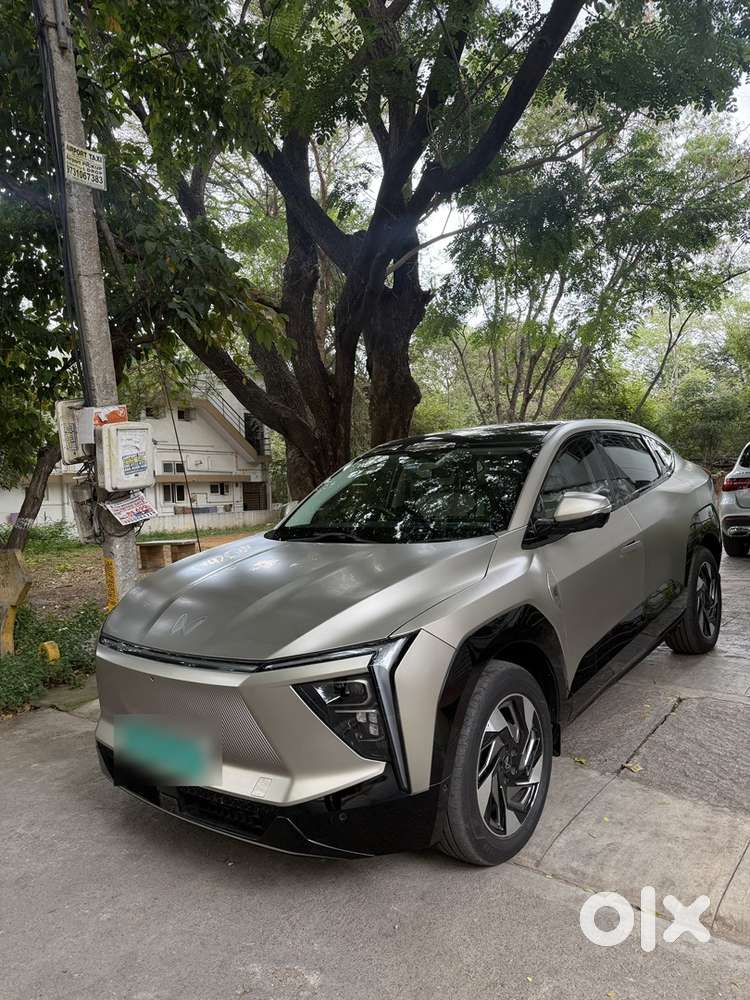 Mahindra Electric Xev 2025