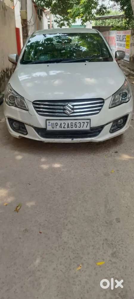 Ciaz Maruti Diesel 2014