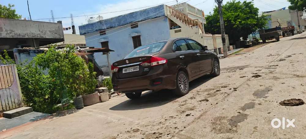 Maruti Suzuki Ciaz 2015 Diesel