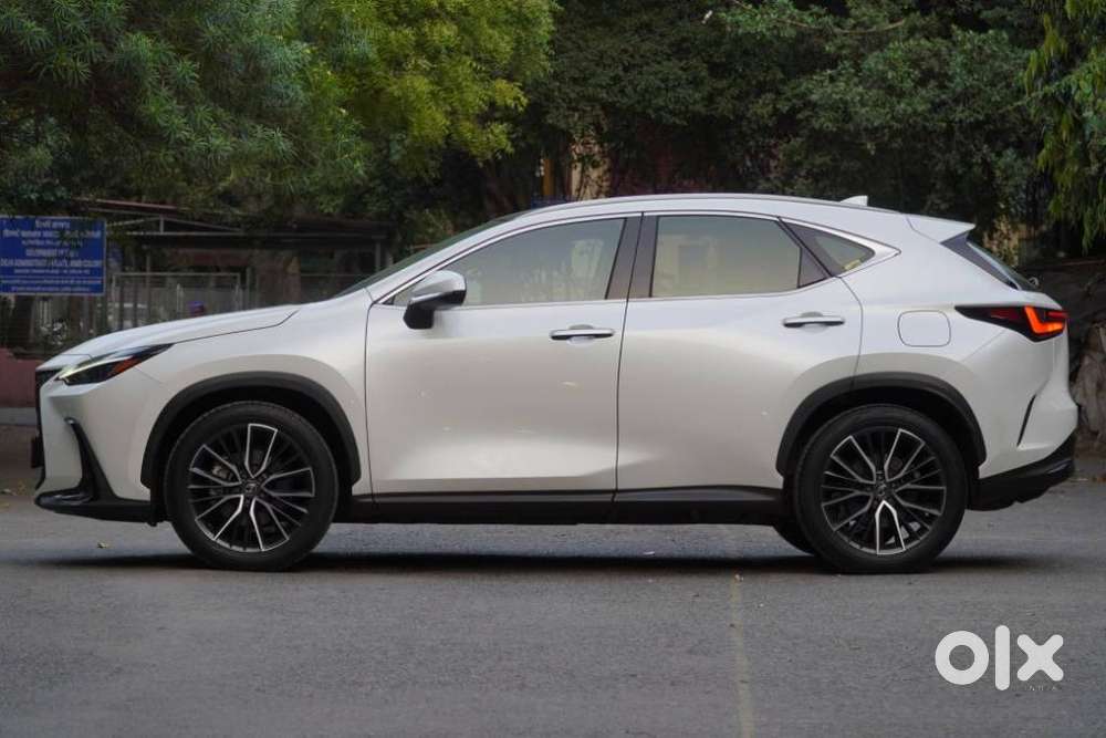 Lexus Nx 350h Exquisite, 2024, Petrol