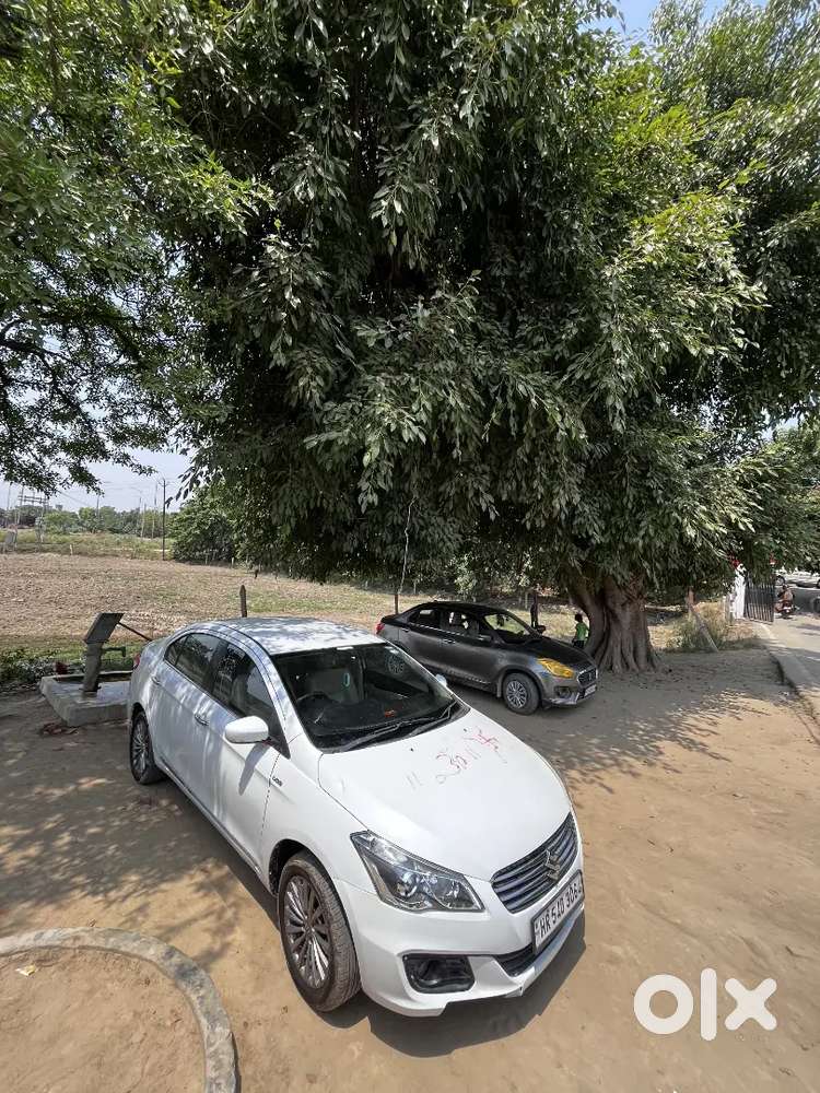Maruti Ciaz Zdi+ 2016 | Well Maintained | Diesel | Family Used