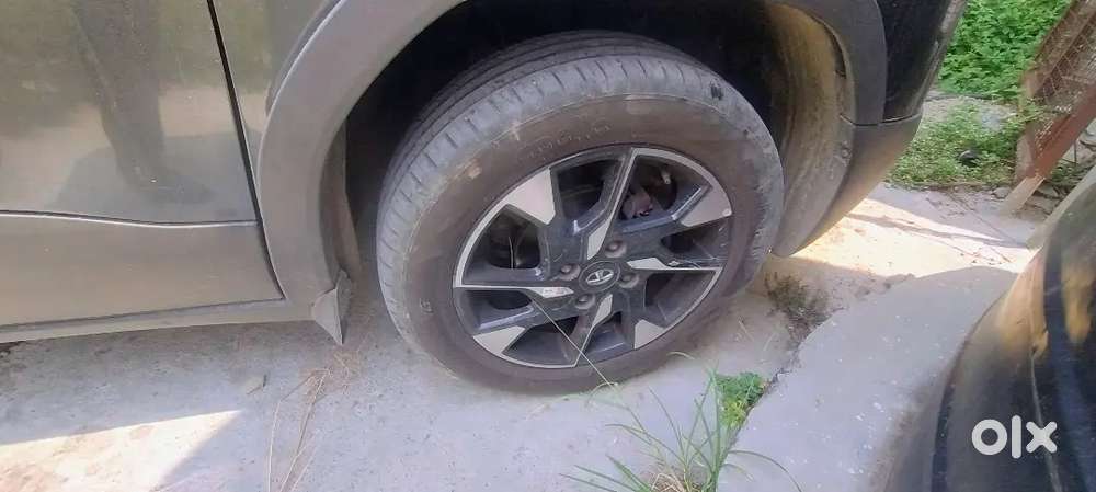 Tata Punch 2024 Petrol 16102 Km Driven