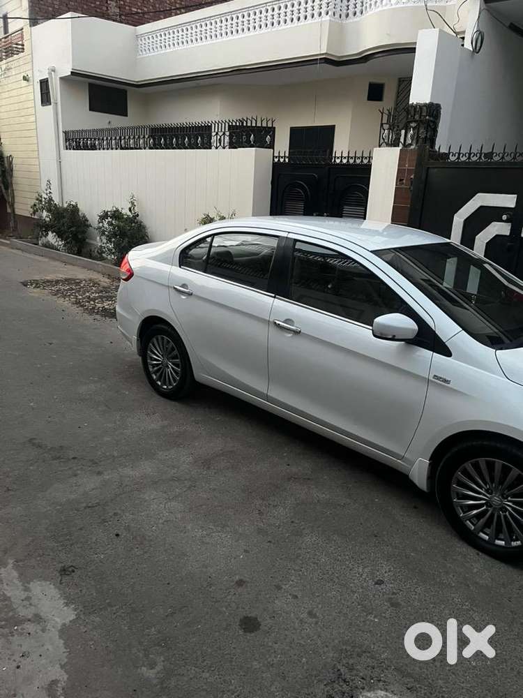 Maruti Suzuki Ciaz White Top Alpha In Brand New Conditio