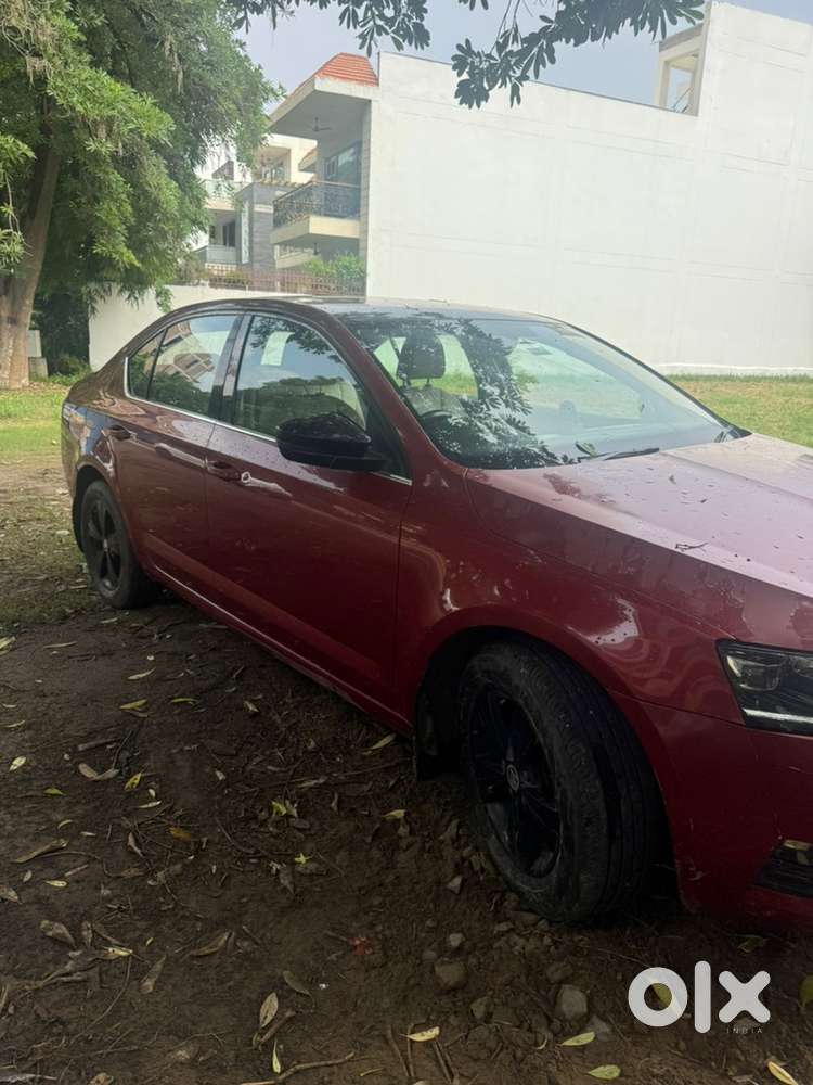 Skoda Octavia 2017 Year Car
