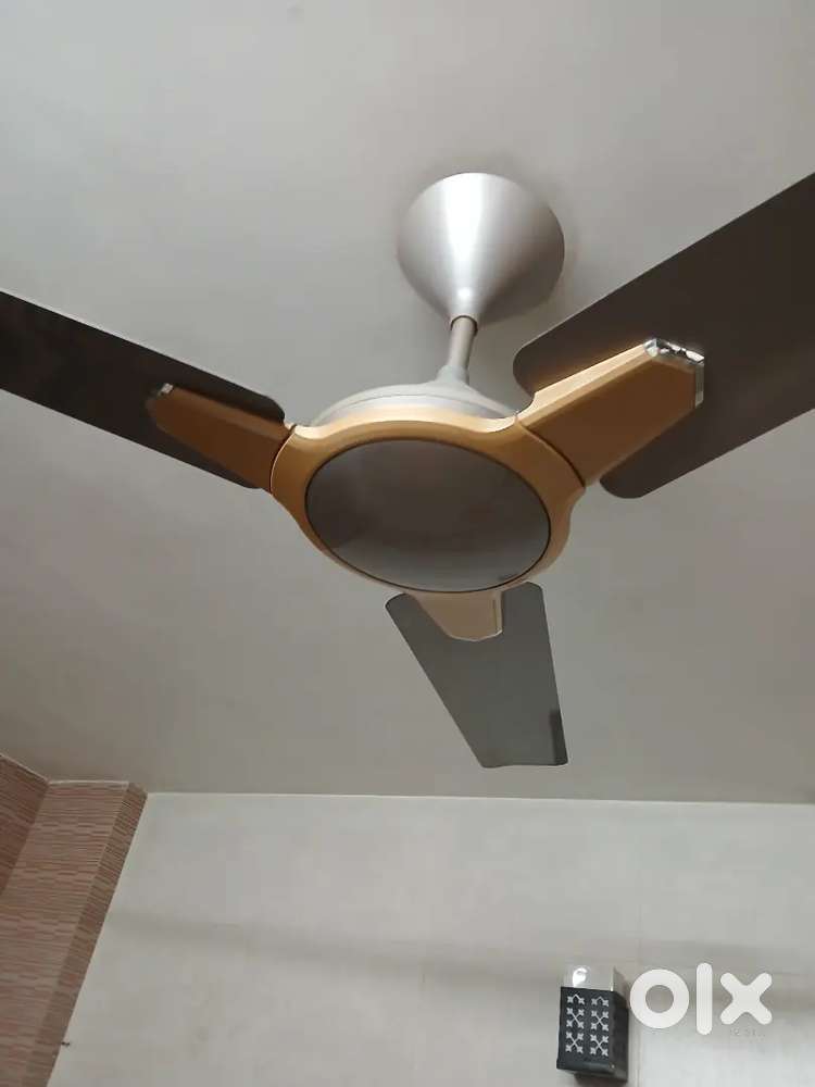 Celling fan
