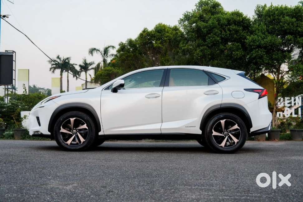 Lexus Nx 300h, 2019, Petrol