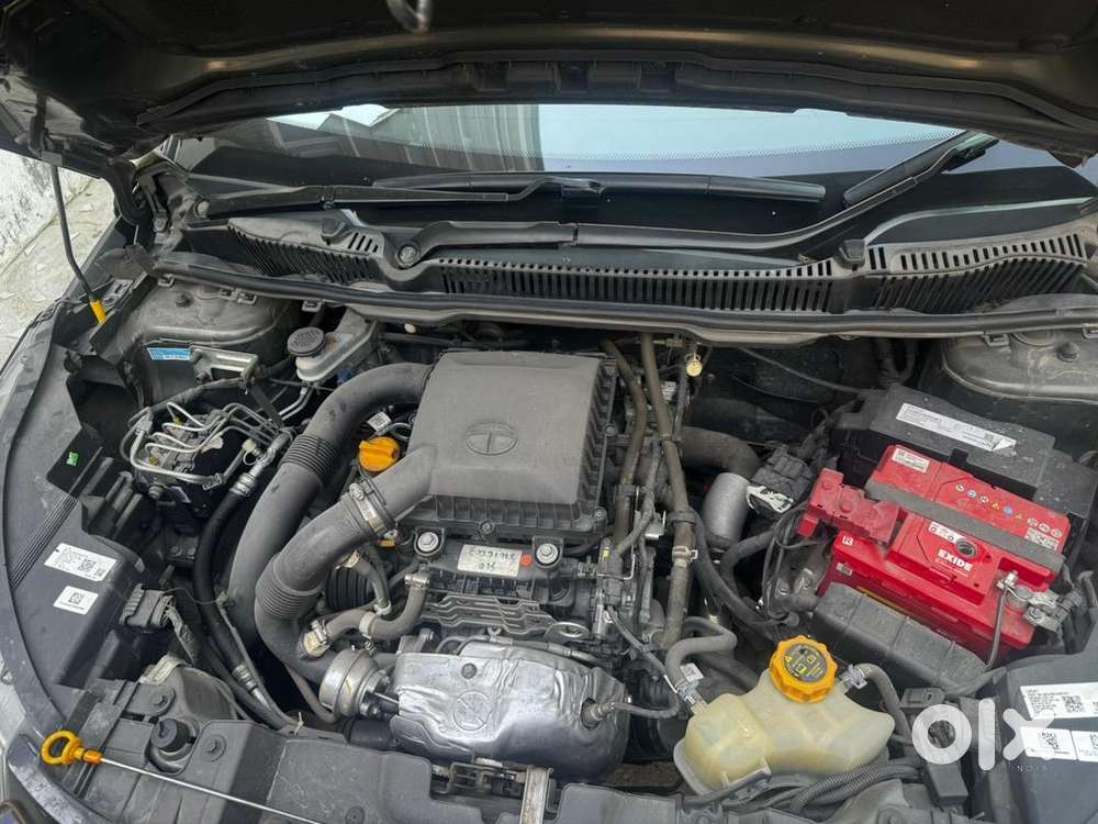 Nexon Xm Petrol,6 Speed Manual,well Maintained No Accidents/negotiable