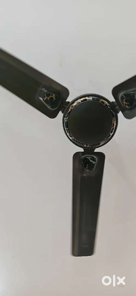 New fan selling for 2000