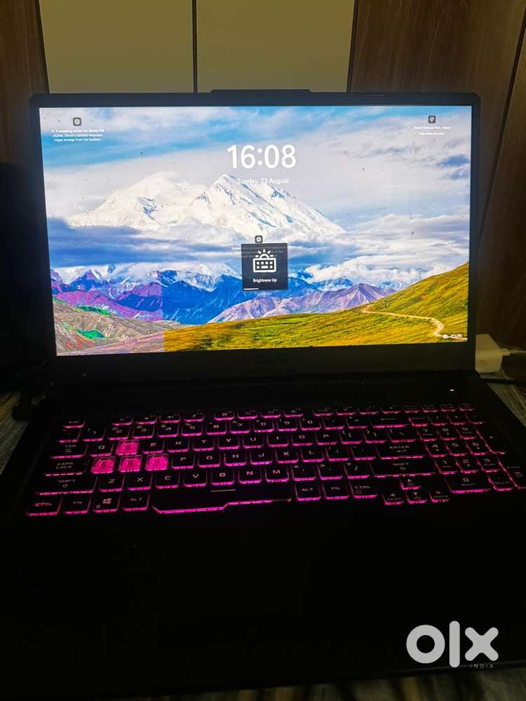 ASUS TUF Gaming A17 Ryzen 5 4600H  GTX 1650 4GB  8GB RAM  512GB SSD