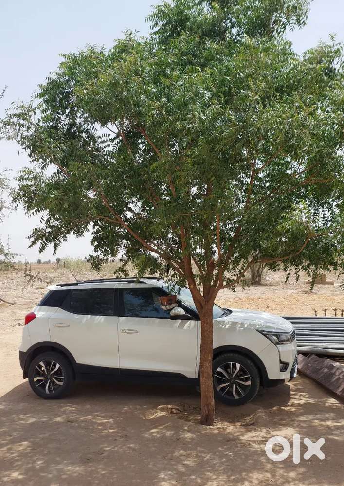 Mahindra Xuv300 1.5 Diesel 2020
