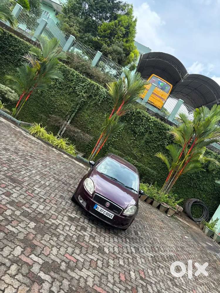 Fiat Linea Dynamic 2013 Car