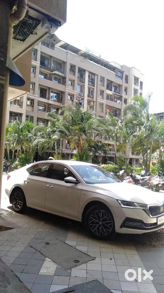 Skoda Octavia 2021 Petrol Well Maintained