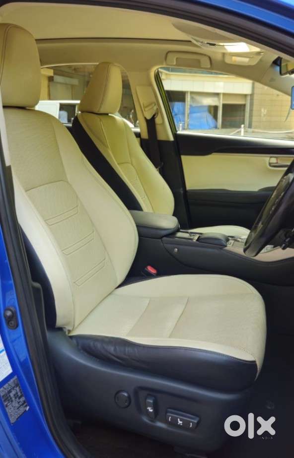 Lexus Nx Lexus-nx-300h-luxury, 2018, Petrol