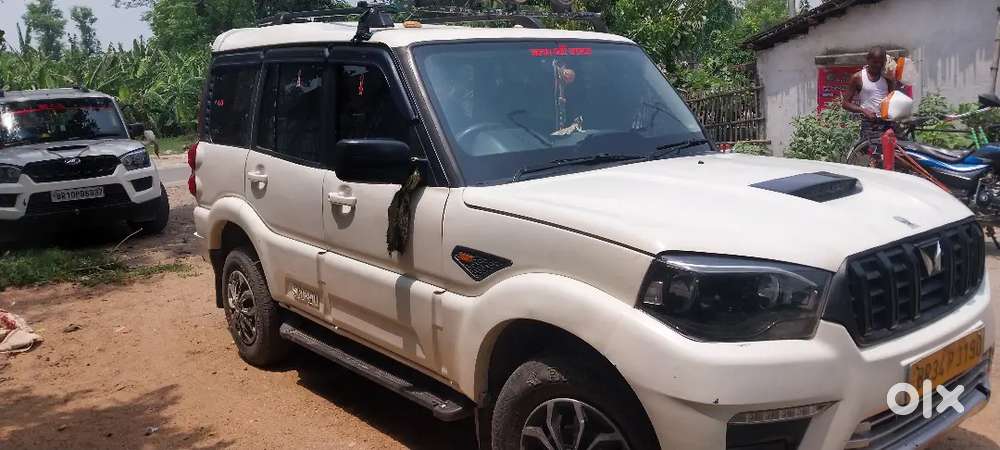 Well Condition Scorpio