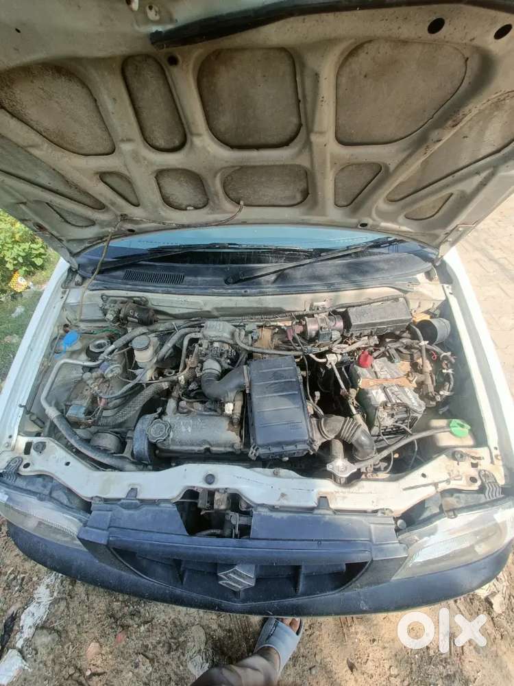 Maruti Suzuki Alto 2009 Petrol+cng